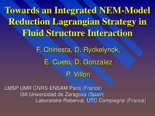 Towards an Integrated NEM-Model Reduction Lagrangian Strategy in Fluid Structure Interaction