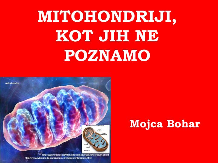 mitohondriji kot jih ne poznamo