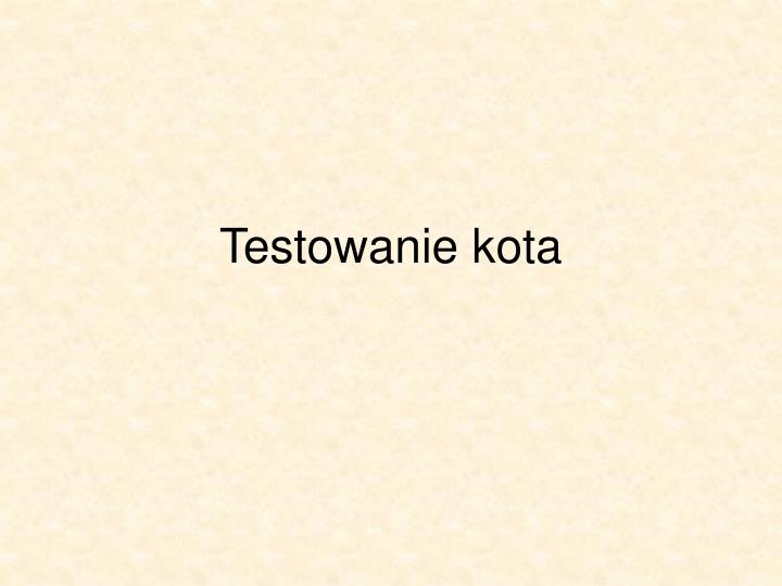 testowanie kota