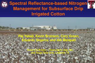 Spectral Reflectance-based Nitrogen Management for Subsurface Drip Irrigated Cotton