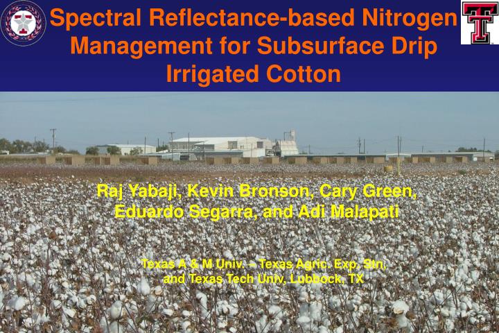 spectral reflectance based nitrogen management for subsurface drip irrigated cotton