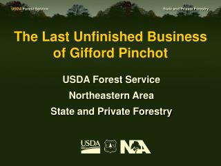 The Last Unfinished Business of Gifford Pinchot
