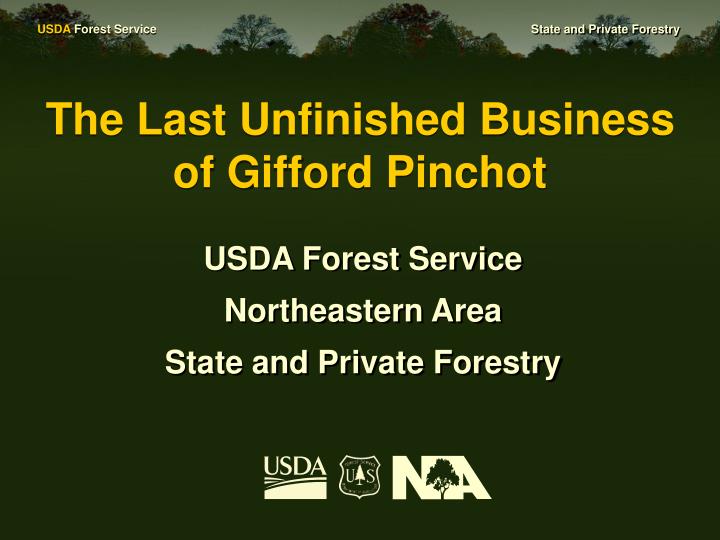 the last unfinished business of gifford pinchot