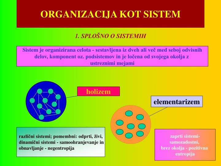 organizacija kot sistem
