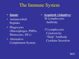 The Immune System