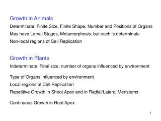 Growth in Animals Determinate: Finite Size, Finite Shape, Number and Positions of Organs