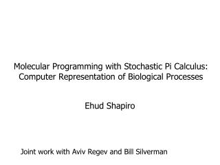 Molecular Programming with Stochastic Pi Calculus: Computer Representation of Biological Processes