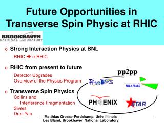 Future Opportunities in Transverse Spin Physic at RHIC
