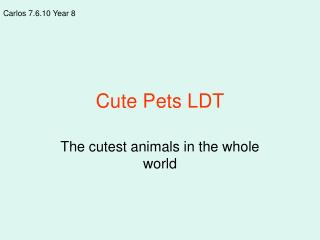 Cute Pets LDT