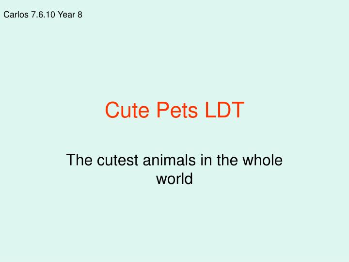 cute pets ldt