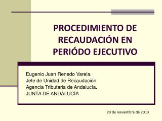 procedimiento de recaudaci n en peri do ejecutivo