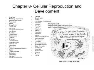 Chapter 8- Cellular Reproduction and Development