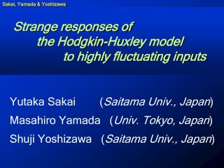 Strange responses of the Hodgkin-Huxley model to highly fluctuating inputs
