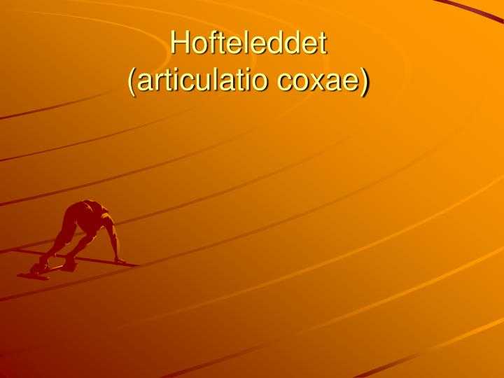 hofteleddet articulatio coxae
