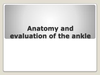 Anatomy and evaluation of the ankle