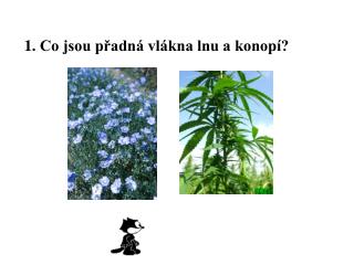 1 co jsou p adn vl kna lnu a konop