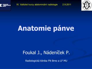 anatomie p nve