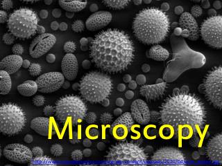 Microscopy