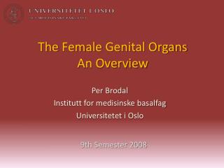 The Female Genital Organs An Overview