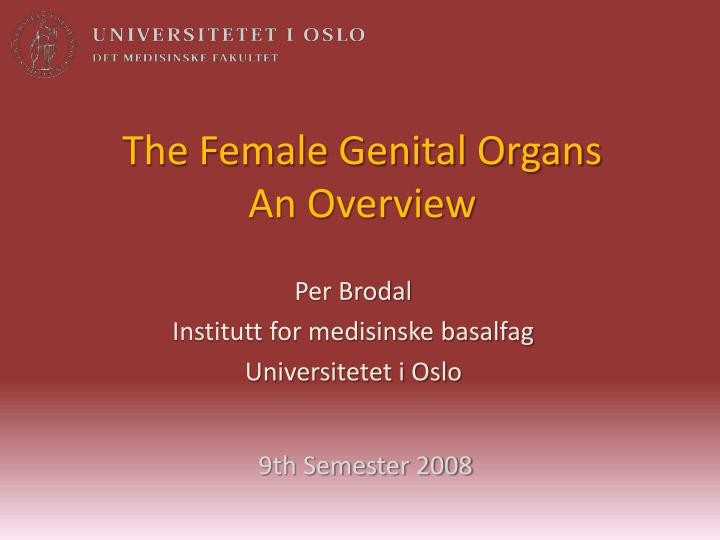 the female genital organs an overview