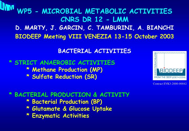 wp5 microbial metabolic activities cnrs dr 12 lmm