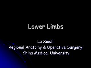 Lower Limbs