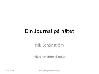 din journal p n tet