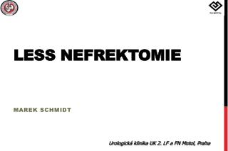 less nefrektomie