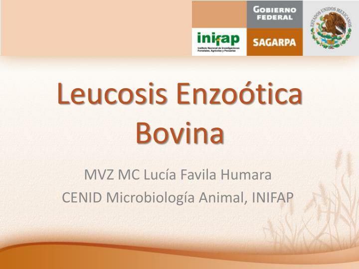 leucosis enzo tica bovina