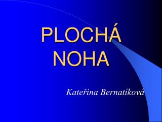 ploch noha