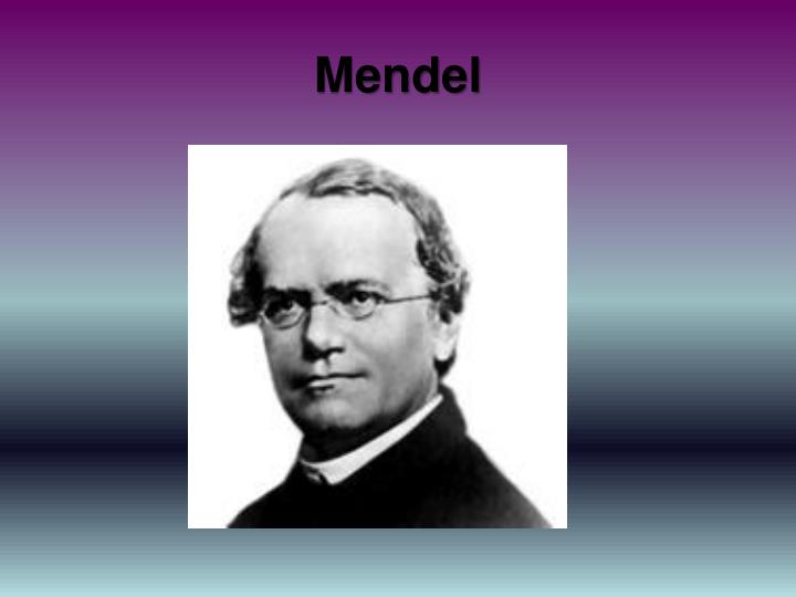 mendel