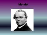 Mendel - slide 1