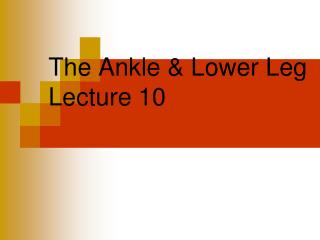 The Ankle &amp; Lower Leg Lecture 10