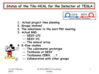 Status of the Tile-HCAL for the Detector at TESLA