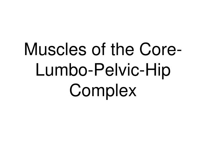 muscles of the core lumbo pelvic hip complex