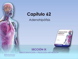 cap tulo 62 adenohip fisis