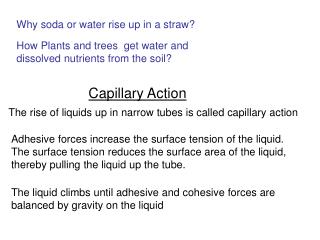 Capillary Action