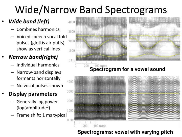 wide narrow band spectrograms