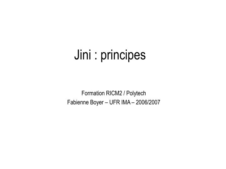 jini principes