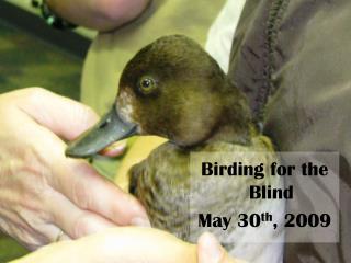 Birding for the Blind May 30 th , 2009