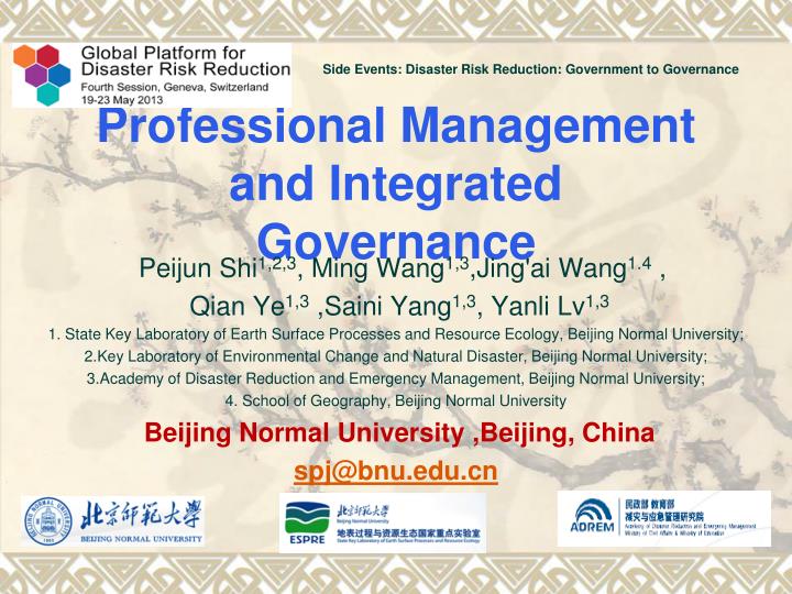 professional management and integrated governance