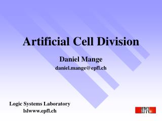 Artificial Cell Division