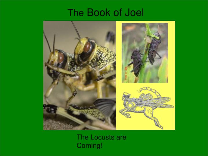 the book of joel