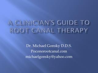 A Clinician’s Guide to Root Canal Therapy