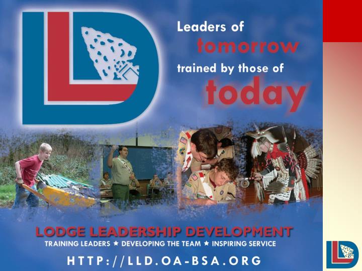 lld image banner