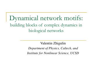 Dynamical network motifs: building blocks of complex dynamics in biological networks