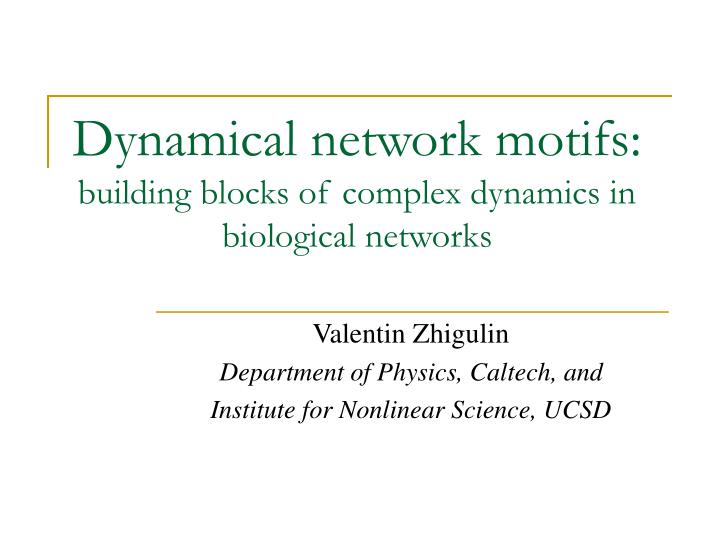 dynamical network motifs building blocks of complex dynamics in biological networks
