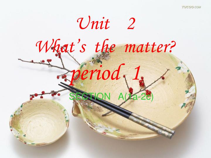 unit 2 what s the matter period 1