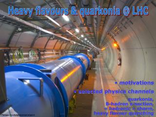 Heavy flavours &amp; quarkonia @ LHC