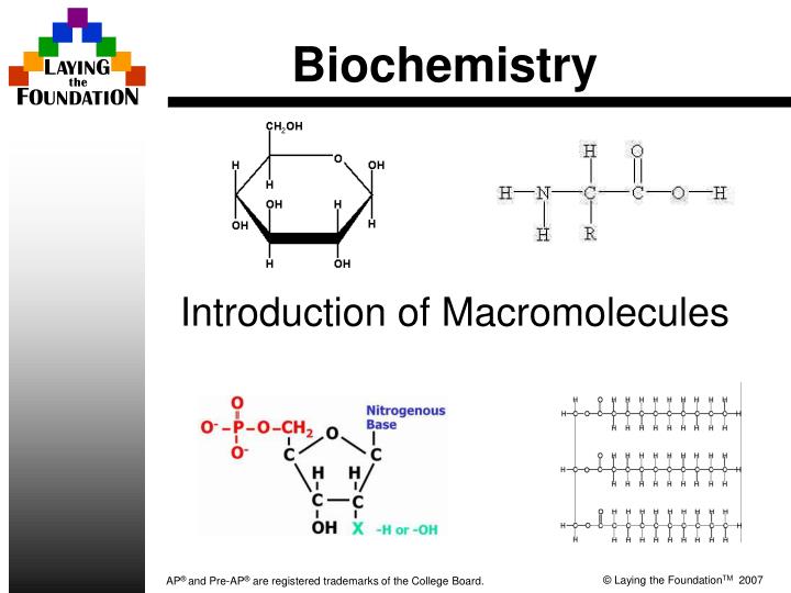 biochemistry